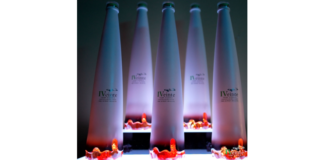 IV20 Brings Together the Alcohol and Cannabis Communities IV20