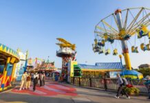 Bringing Immersive Beverage Experiences to Theme Parks theme park