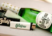 CannaVinus 0%: A Sparkling Wine Without THC or Alcohol cannavinus